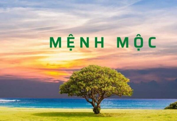 Bảng màu sắc khắc/ hợp cho người mệnh Mộc